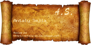 Antaly Sejla névjegykártya